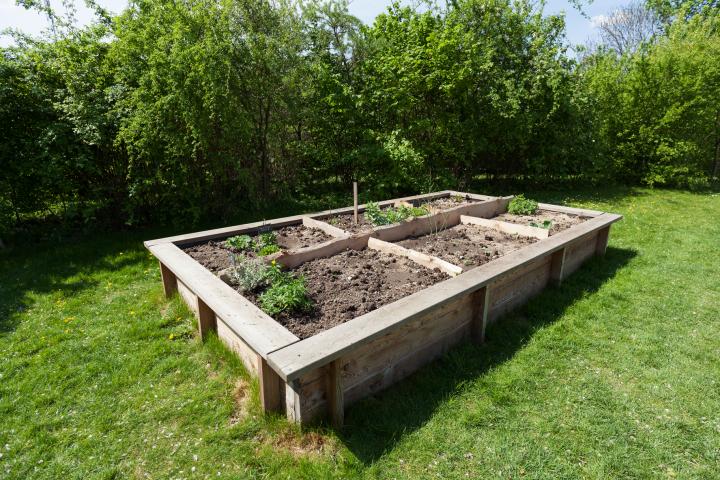 raised-garden-bed