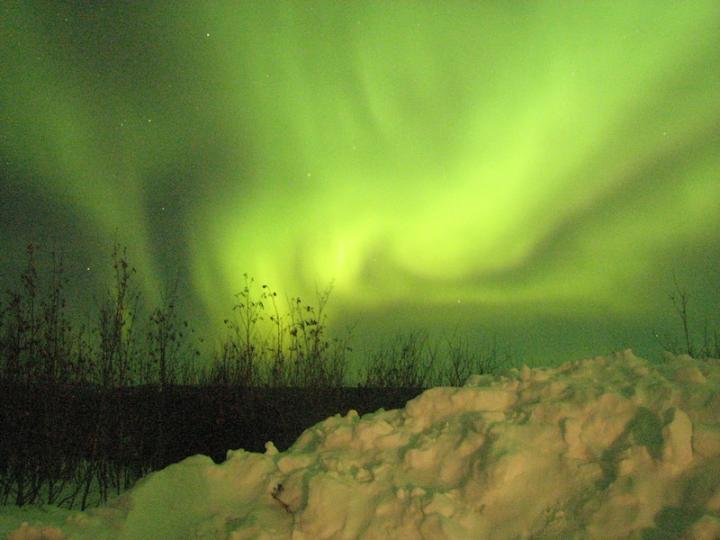 Northern Lights Tour in Alaska