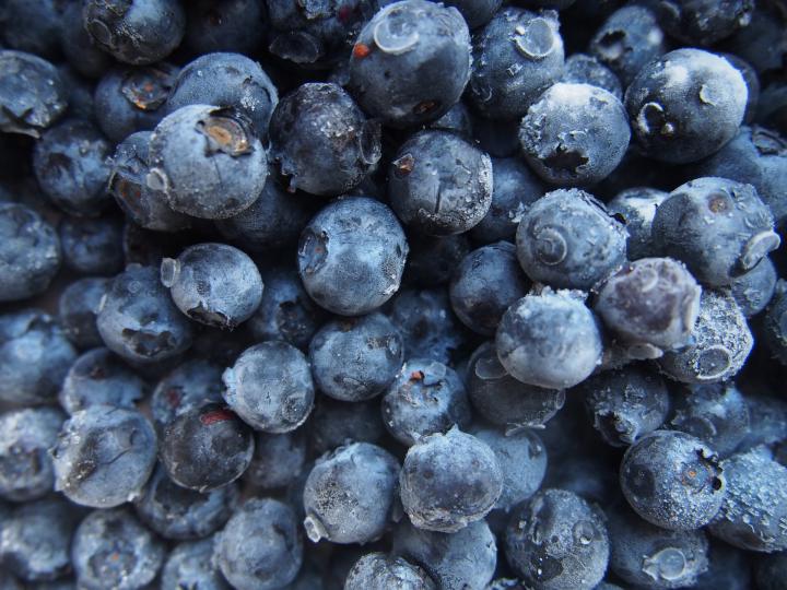 how-to-freeze-blueberries