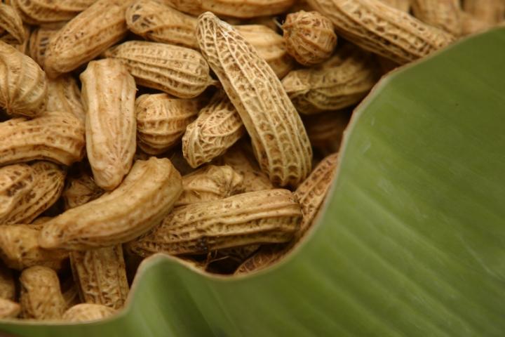 Peanuts (Natural)