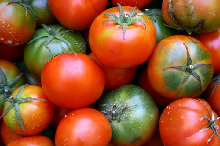 tips-growing-tomatoes