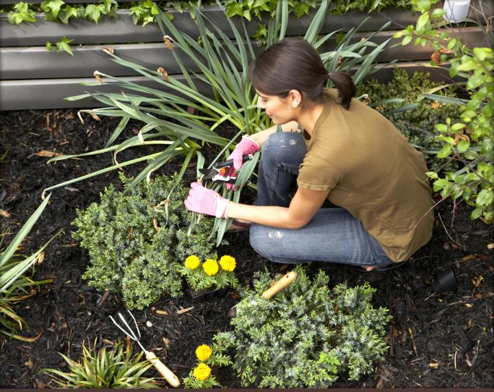 Landscaping for Low Maintenance-Thinkstock