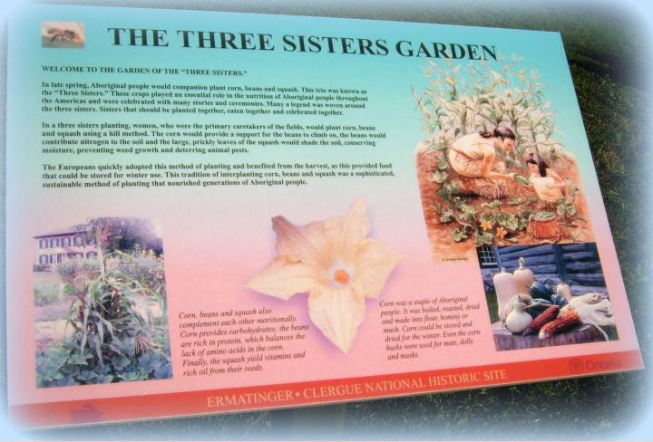 Three Sisters Companion Planting-Fungus Guy, Wikimedia Commons