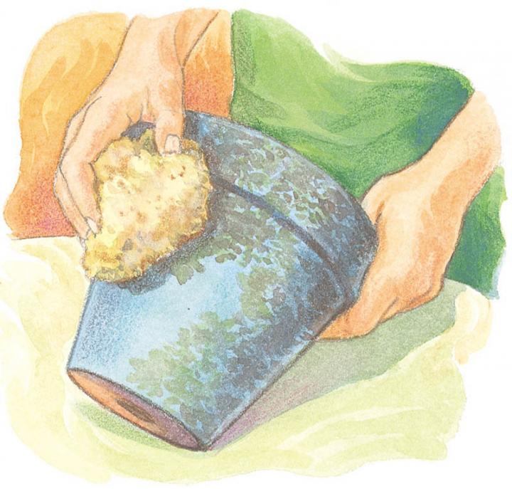 Painting Pots with Sponge