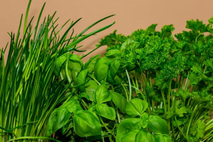 Herbs to Cook