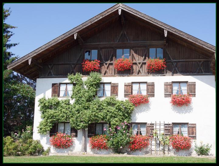 Espalier against House