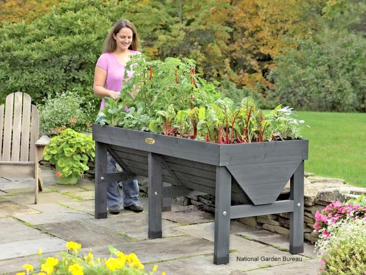 Vegetable Container