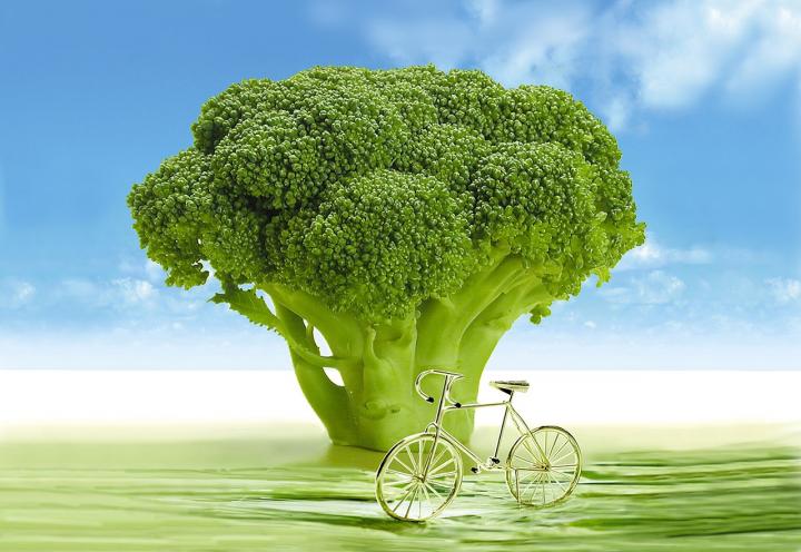 Broccoli Tree