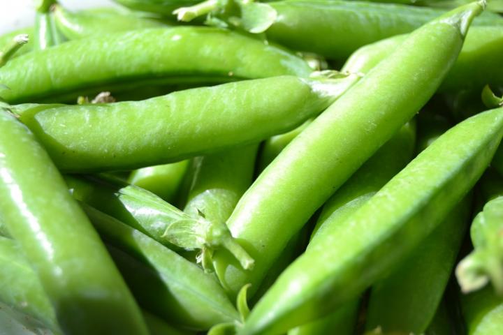 peas-703169_1280_full_width.jpg