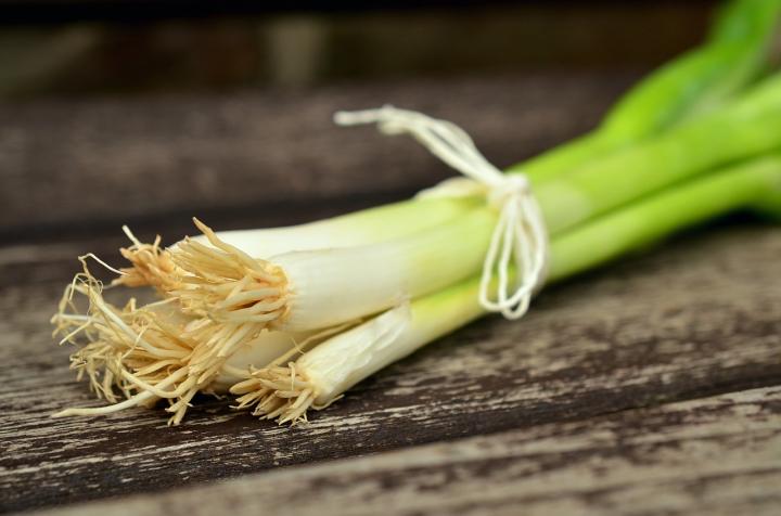 Green Onion Bunches