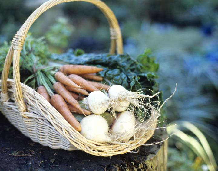 Basket-Thinkstock