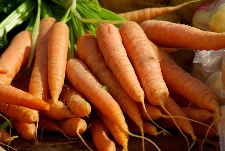 Carrots from the Garden