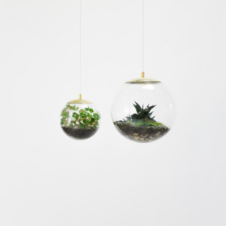 globe-terrarium-hanging-glass-2-gardenista