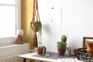 modern-macrame-planters-gardenista