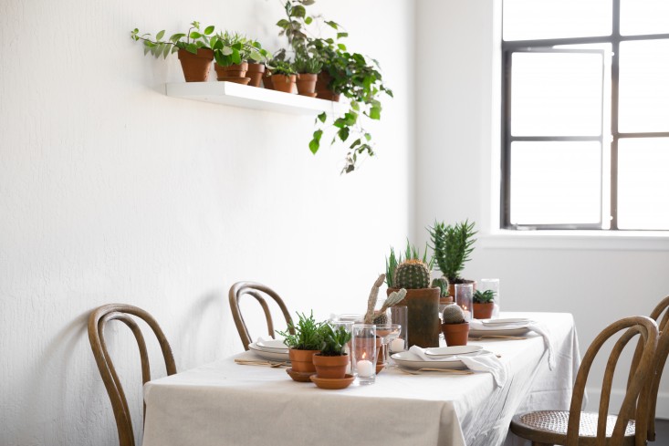 PlantLibrary-80-houseplants-terra-cotta-dining-room-gardenista
