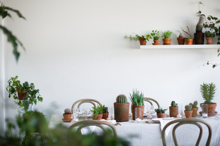 PlantLibrary-142-shelf-houseplants-terra-cotta-dining-room-gardenista