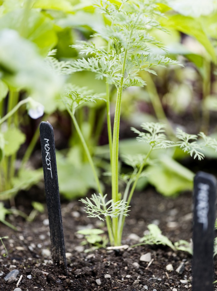 black-white-orangery-outbuilding-gardenista-carrots-plant-markers