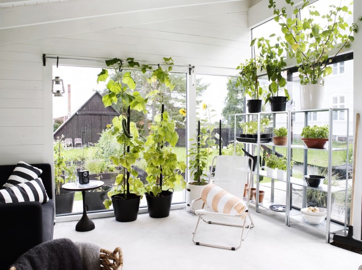 black-white-orangery-outbuilding-gardenista-black-pots