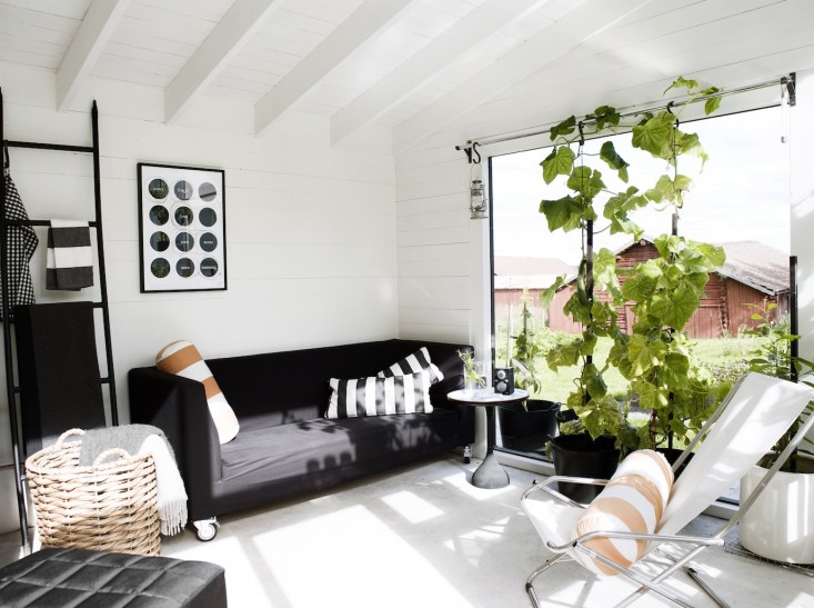 black-white-orangery-outbuilding-gardenista-indoor-vines
