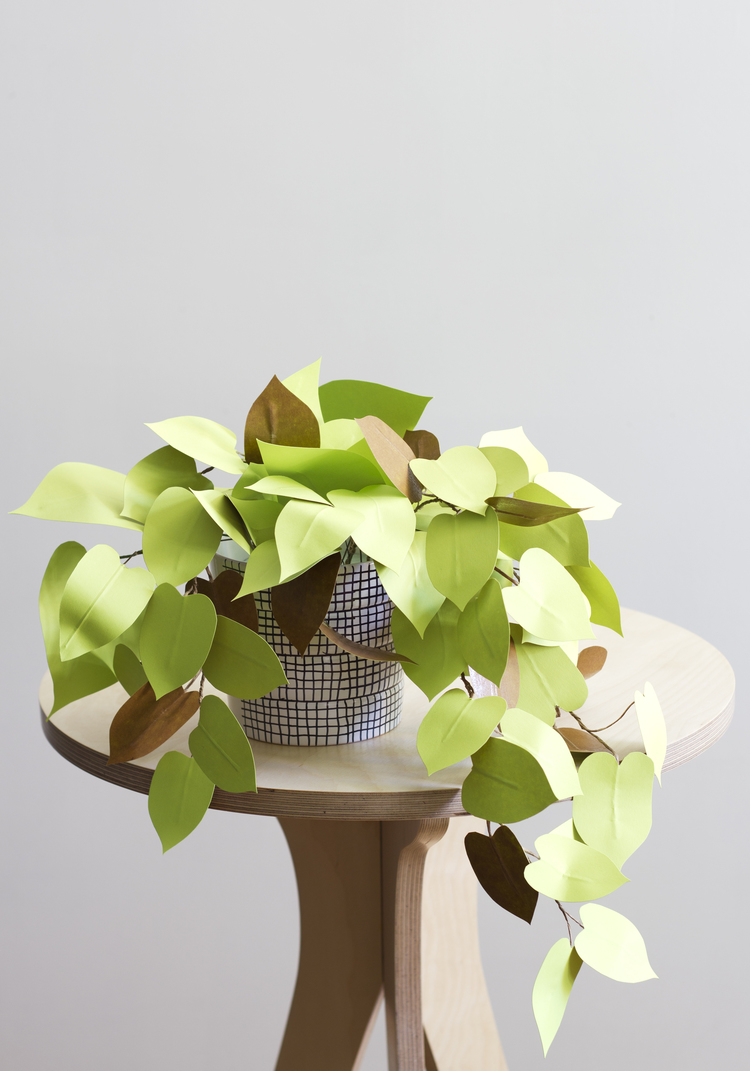 Corrie_Hogg_paper_heartleaf_philodendron_plant_DIY_4