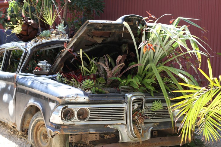 flora-grubb-car-gardenista