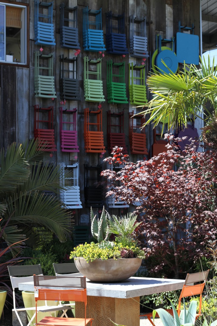 colorful-chairs-and-succulents-flora-grubb-gardenista
