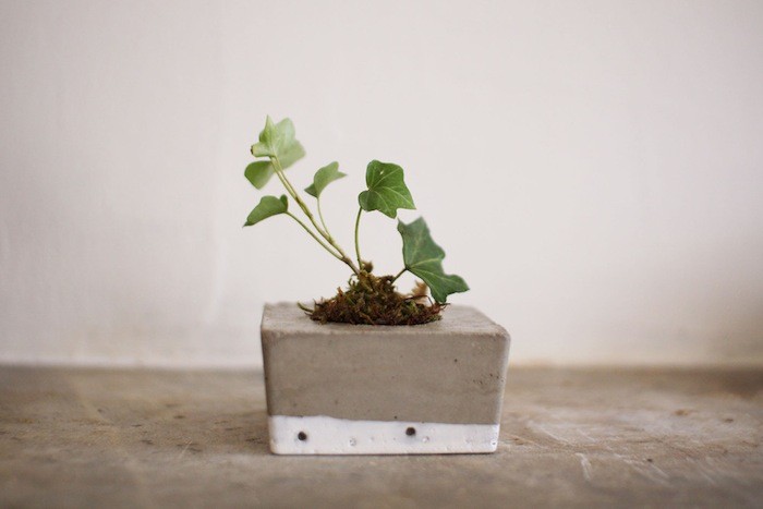 tasi-masi-concrete-square-planter-gardenista