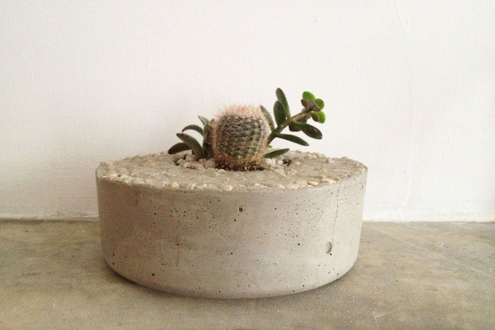 tasi-masi-plain-concrete-planter-gardenista