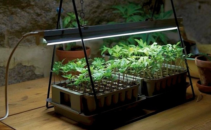 Grow-lights-plant-stand-LED-gardenista