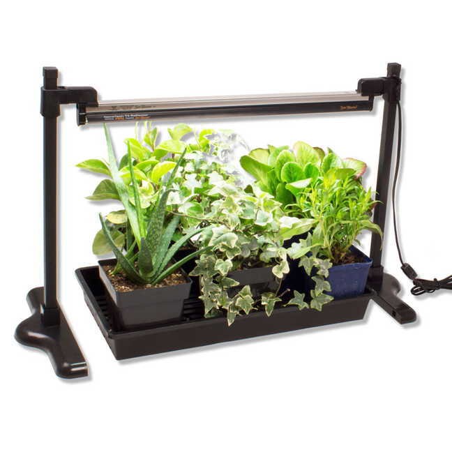 seed-starting-grow-light-stand-gardenista