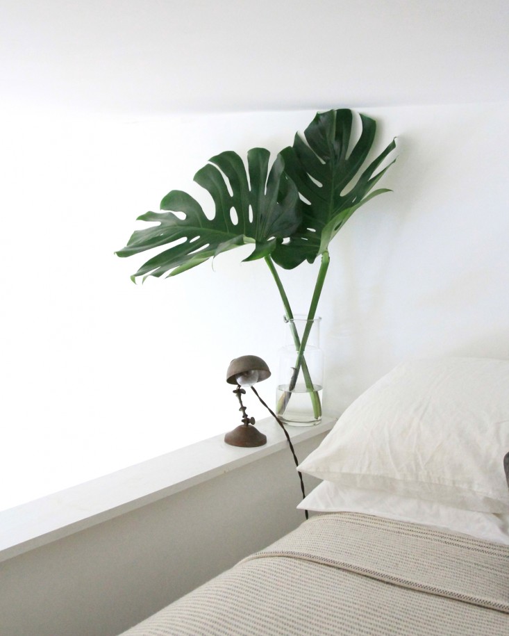 bed_monstera_erinboyle_gardenista