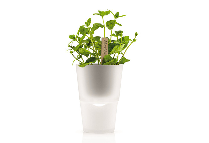 eva-solo-self-watering-herb-pot-gardenista