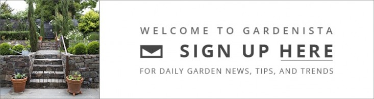 gardenista-email-new-recirculation-v2 (1)