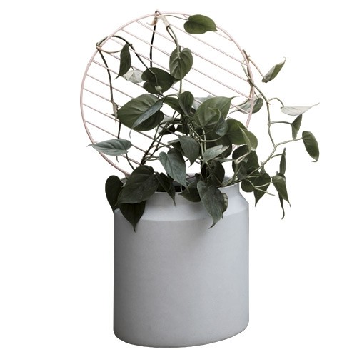 ferm-living-round-plant-wall-circle-trellis-gardenista