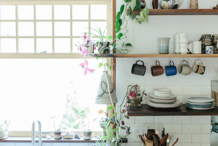 houseplants-kitchen-shelves-emily-katz-gardenista