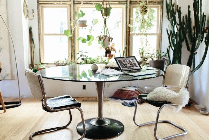 Houseplants-Emily-Katz-portland-dining-room-table-gardenista