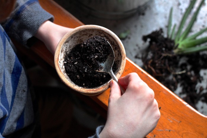 repotting an aloe, add dirt