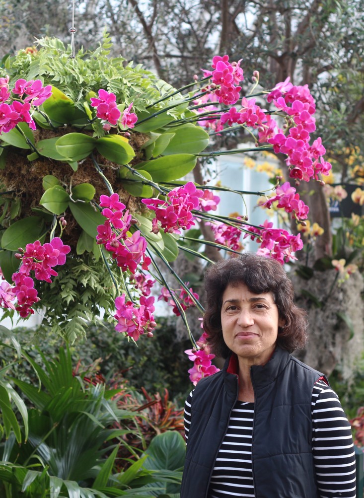 orchid-show-francisca_coelho-marie-viljoen-gardenista