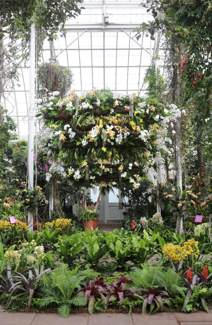 orchid-show-500orchids-marie-viljoen-gardenista