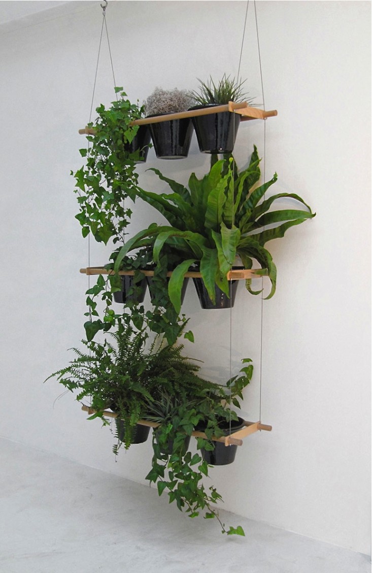 window-box-wall-shelves-gardenista
