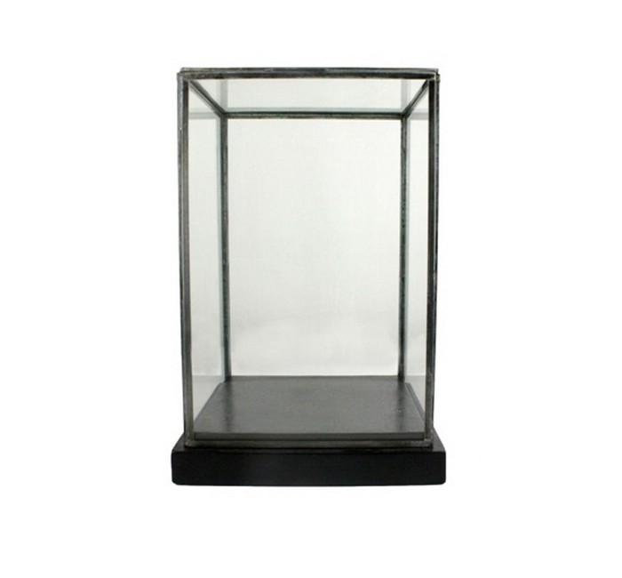 glass specimen display case 2 l Gardenista