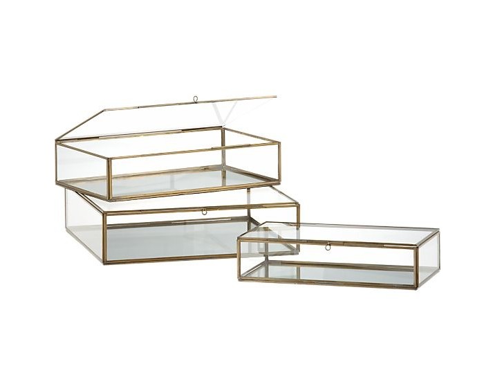 glass display cases for plants l Gardenista