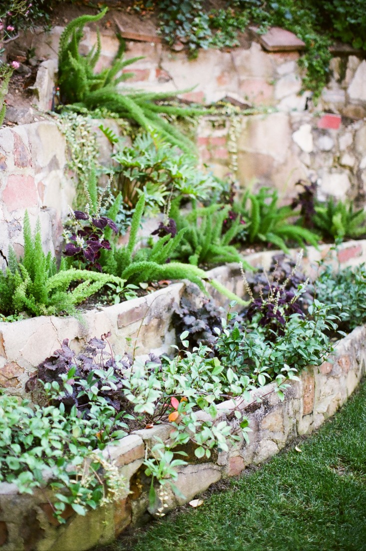 Kathleen-Whitaker-Echo-Park-Garden-Stepped-Planting-Wall-Gardenista-02