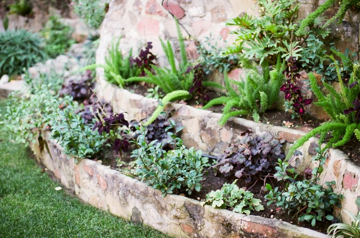 Kathleen-Whitaker-Echo-Park-Garden-Stepped-Planting-Wall-Gardenista-01