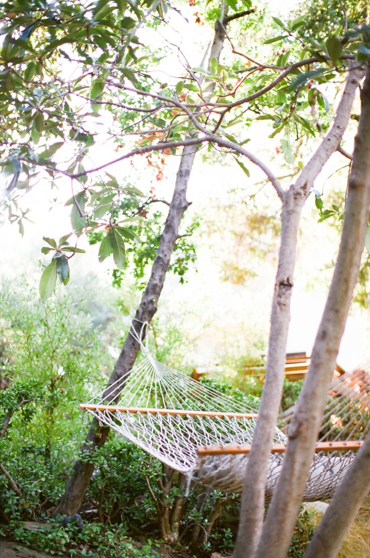 Kathleen-Whitaker-Echo-Park-Garden-Hammock-Gardenista-01