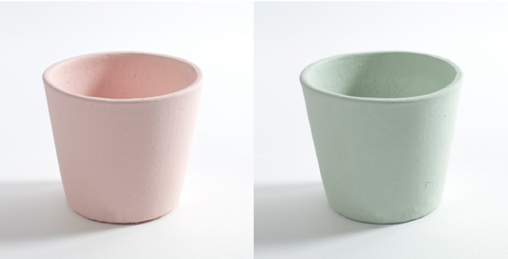 lenneke-wispelwey-small-plant-pots-gardenista