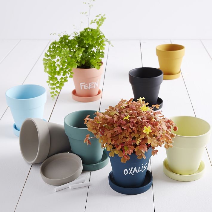 chalk-planters-west-elm-gardenista