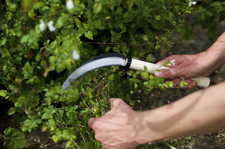 niwaki-herbaceous-sickle-gardenista