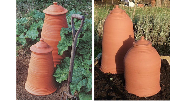 chimney-bell-rhubarb-forcers-gardenista