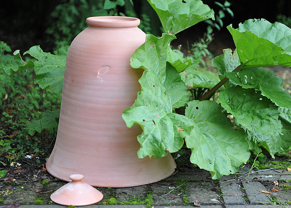 rhubarb-forcer-crocus-gardenista